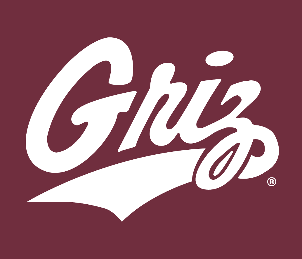 Montana Grizzlies 1996-Pres Alternate Logo 03 iron on paper